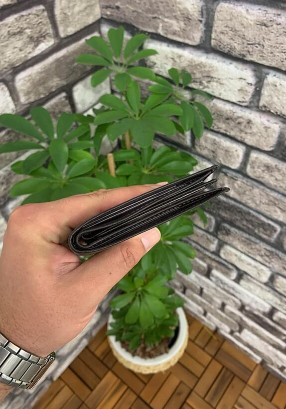 Guard Classic Brown Men's Wallet